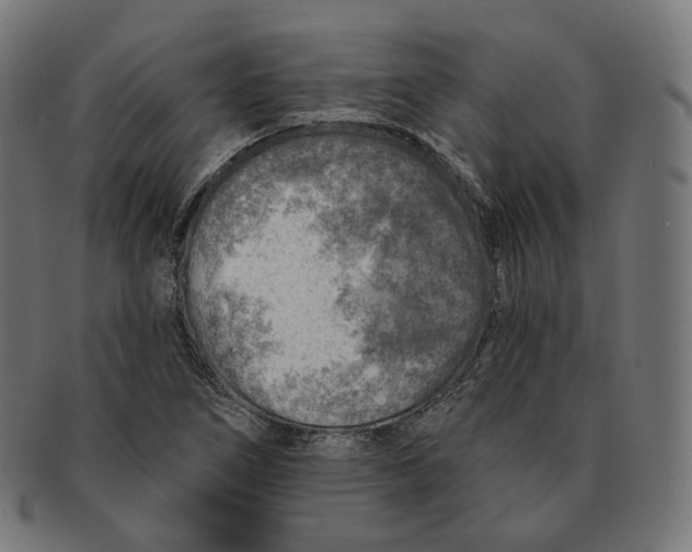 X0000091721266200709210954