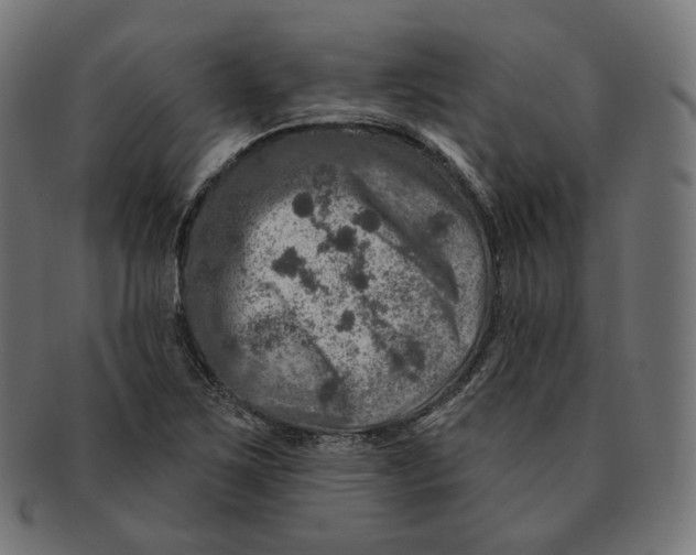 X0000091721267200709210954