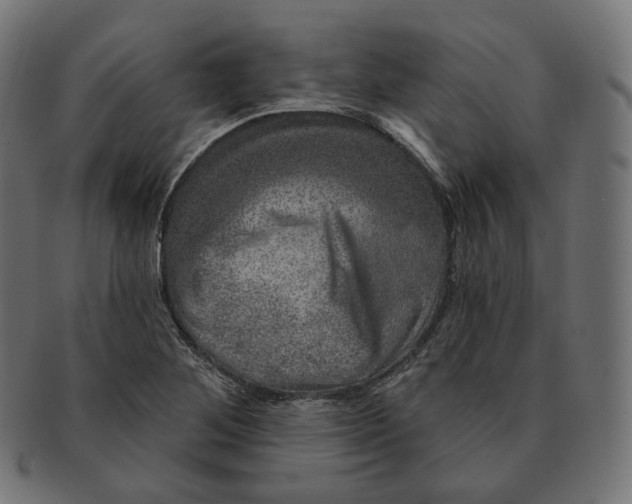 X0000091721268200709210954