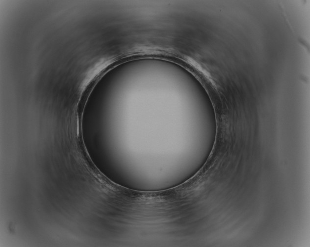 X0000091721269200709210954