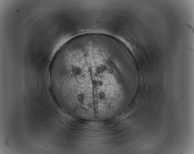 X0000091721271200709210954