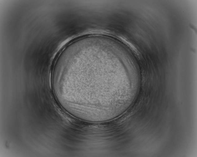 X0000091721272200709210953