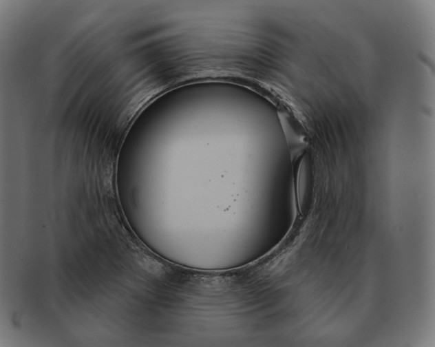 X0000091721273200709210953