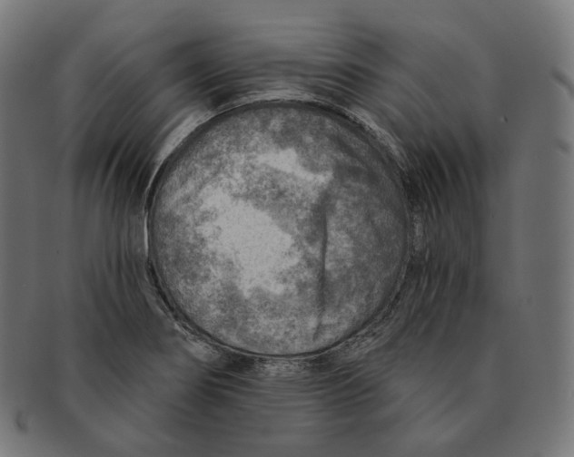 X0000091721274200709210953