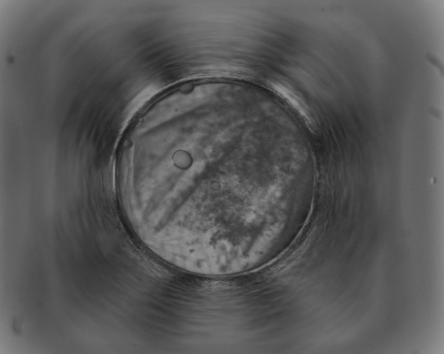 X0000091721275200709210953