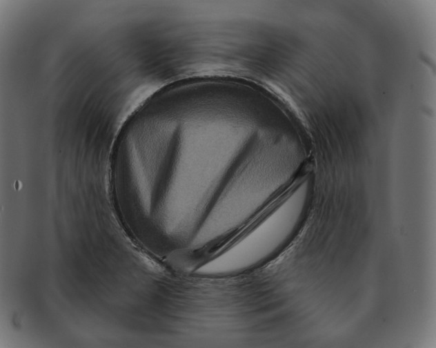 X0000091721277200709210953