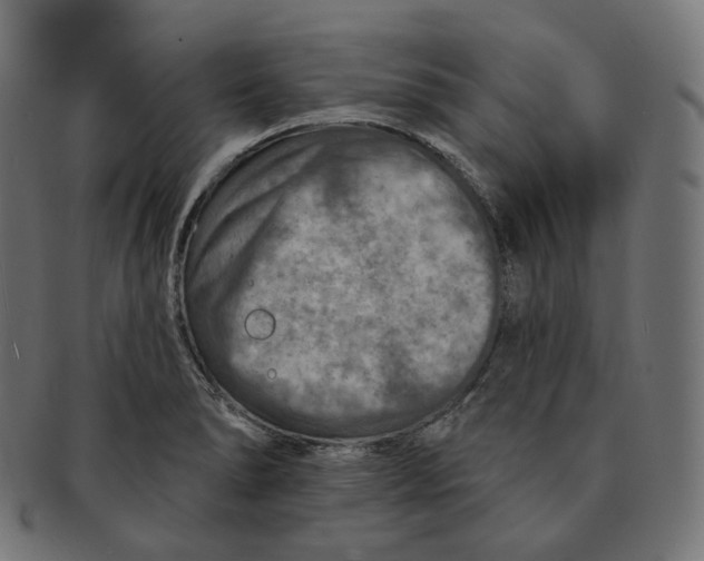 X0000091721278200709210953