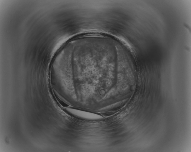 X0000091721279200709210953