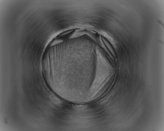 X0000091721280200709210953