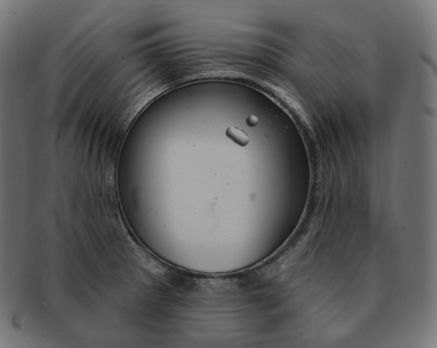 X0000091721281200709210953