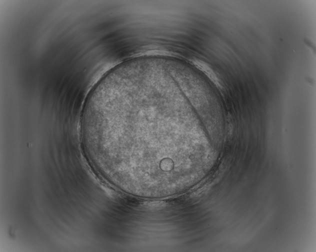 X0000091721282200709210953