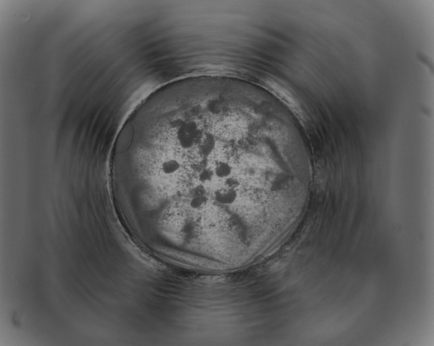 X0000091721283200709210953