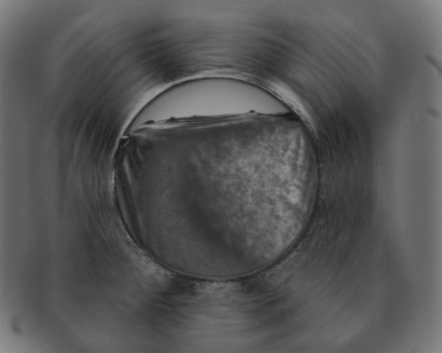 X0000091721284200709210953