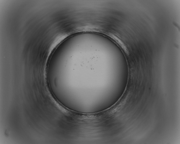 X0000091721285200709210953