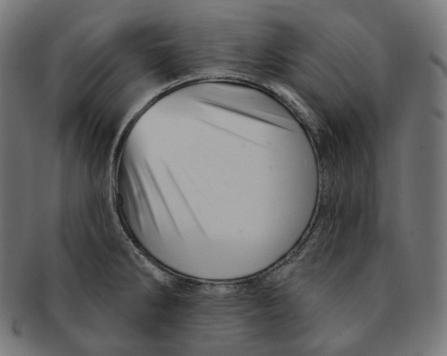 X0000091721286200709210953