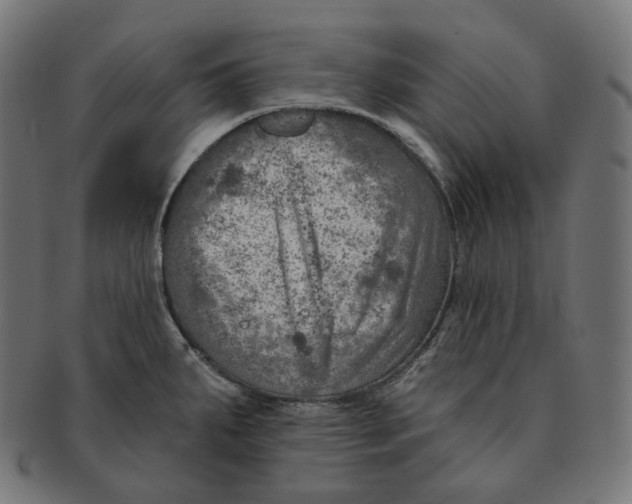 X0000091721287200709210953