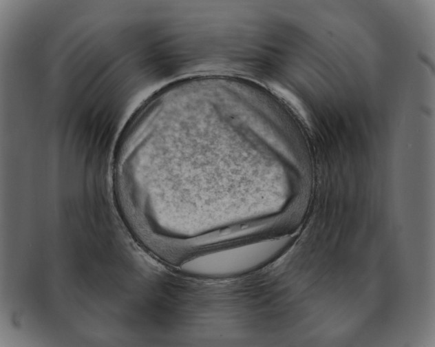 X0000091721288200709210953