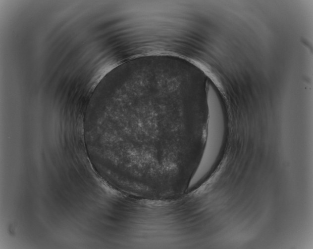 X0000091721289200709210953