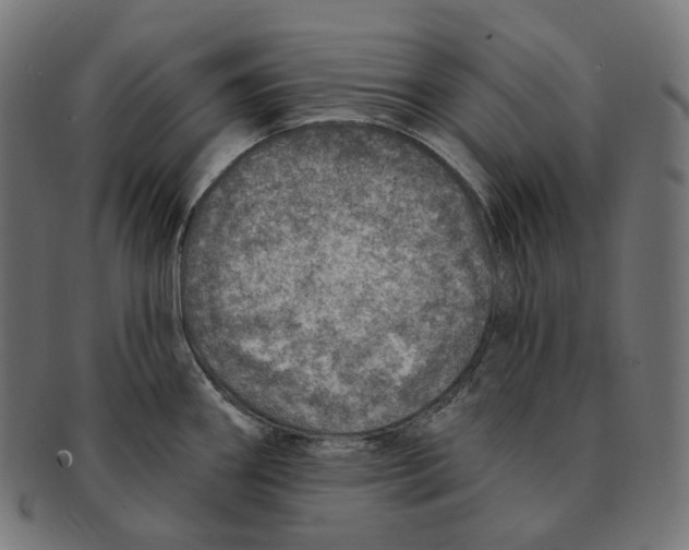 X0000091721290200709210953