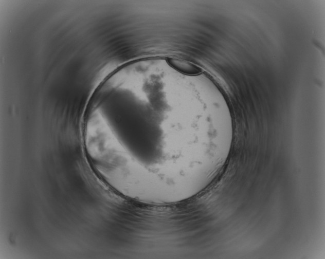 X0000091721291200709210953