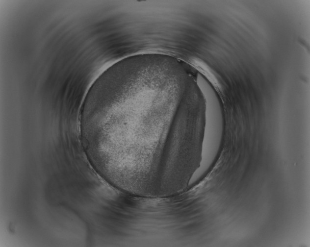 X0000091721292200709210953