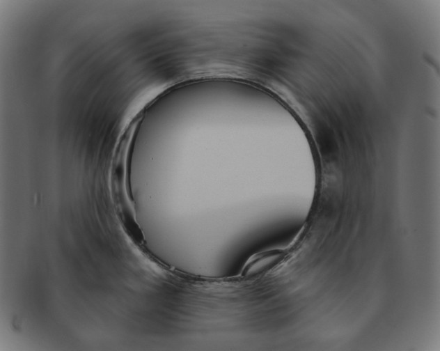 X0000091721293200709210953