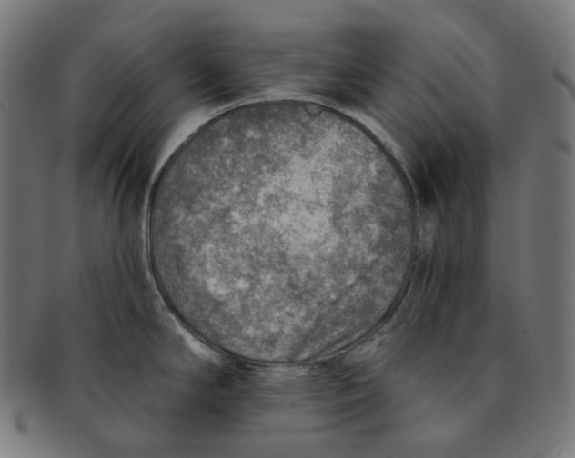 X0000091721294200709210953