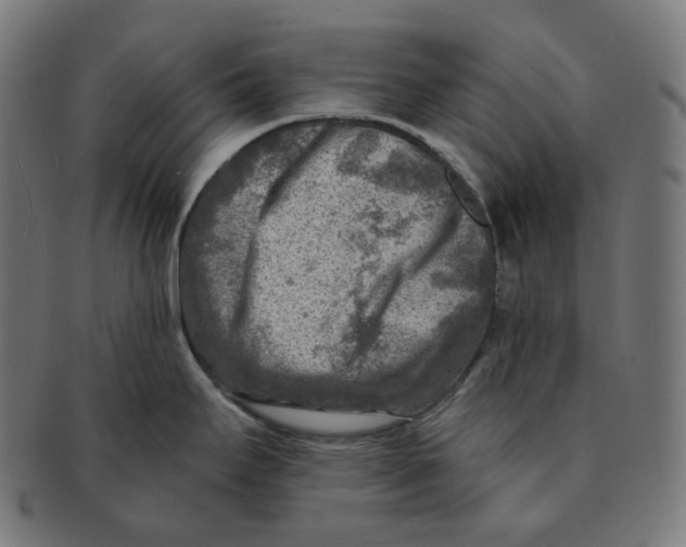 X0000091721295200709210953