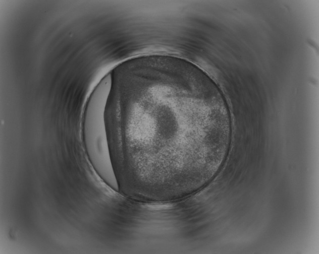 X0000091721296200709210953