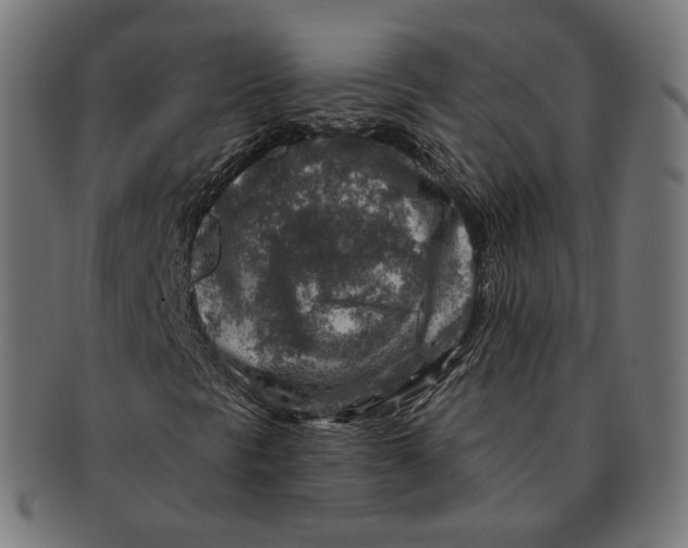 X0000091721297200709210953