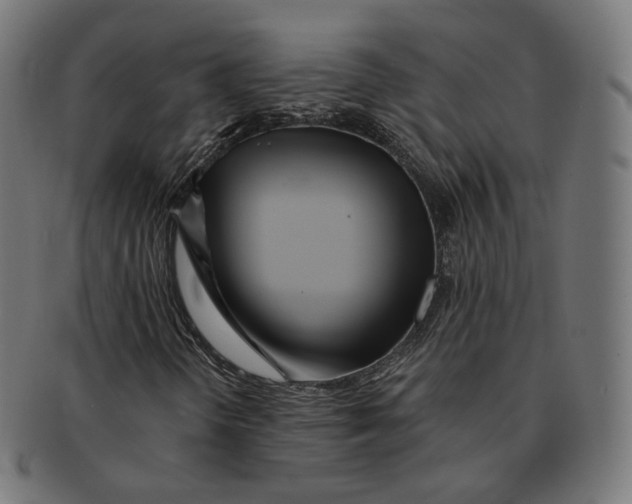 X0000091721298200709210953