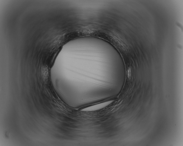 X0000091721299200709210953