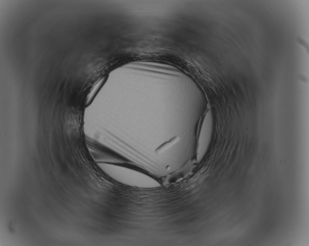 X0000091721300200709210953