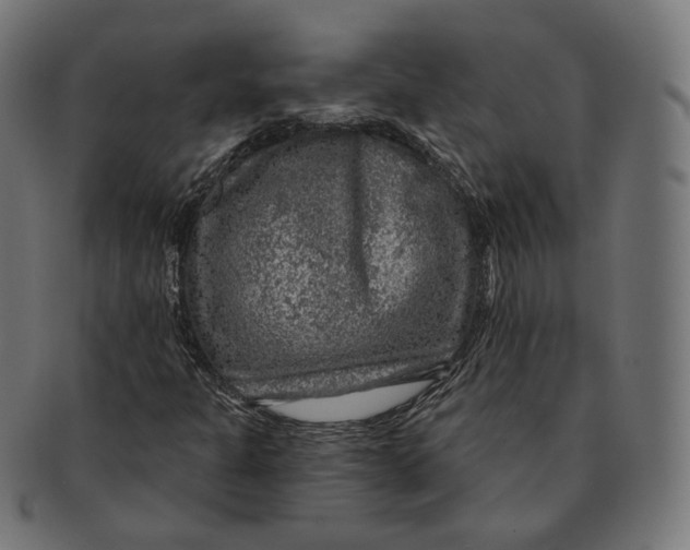 X0000091721301200709210953