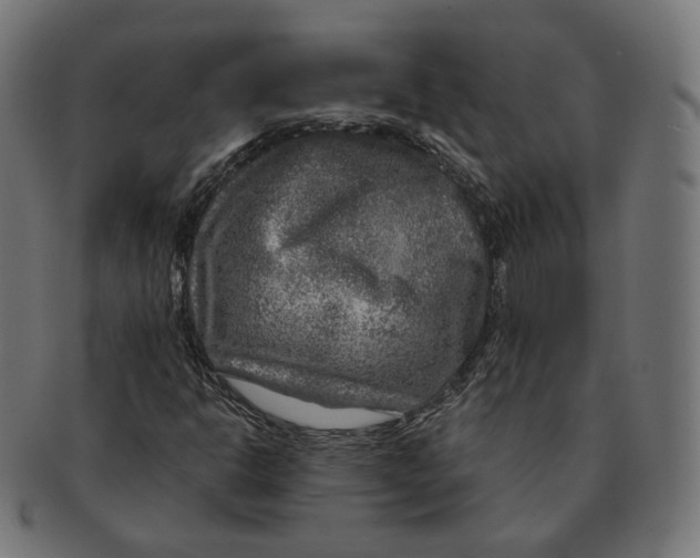 X0000091721302200709210953