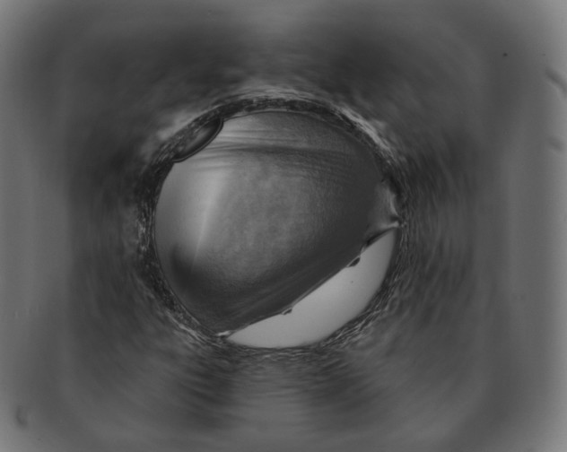 X0000091721303200709210953