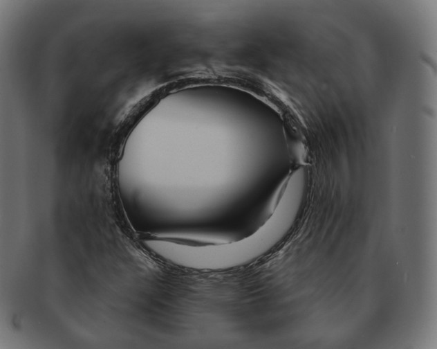 X0000091721304200709210953