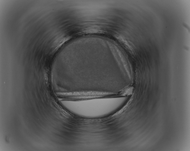 X0000091721305200709210953