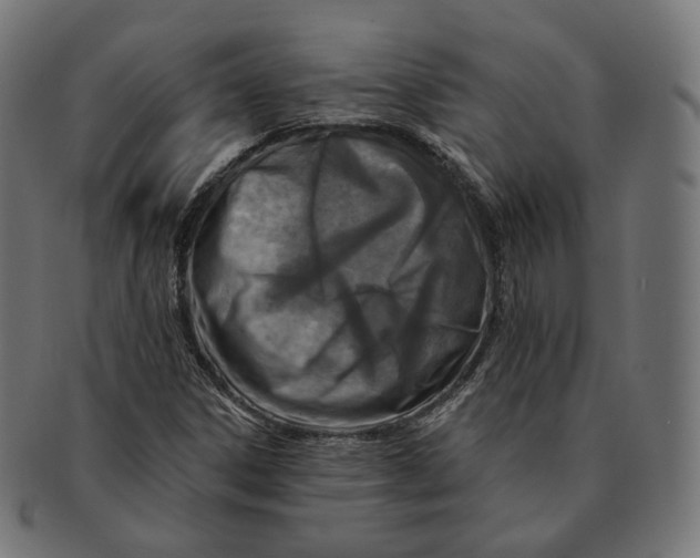 X0000091721306200709210953