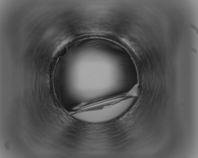 X0000091721307200709210953