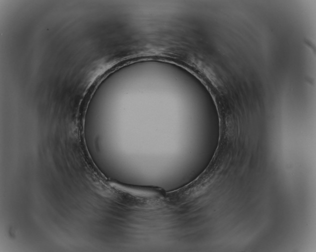 X0000091721308200709210953