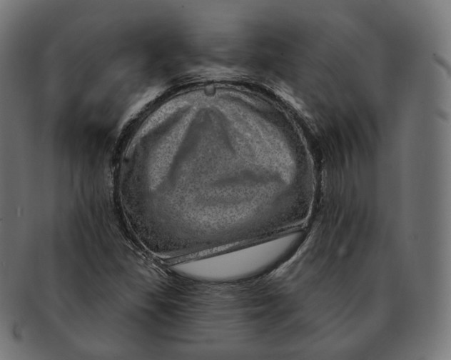 X0000091721309200709210953