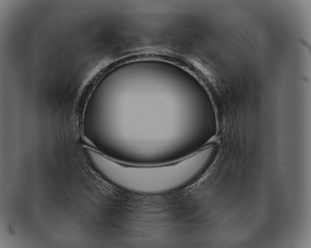 X0000091721310200709210953