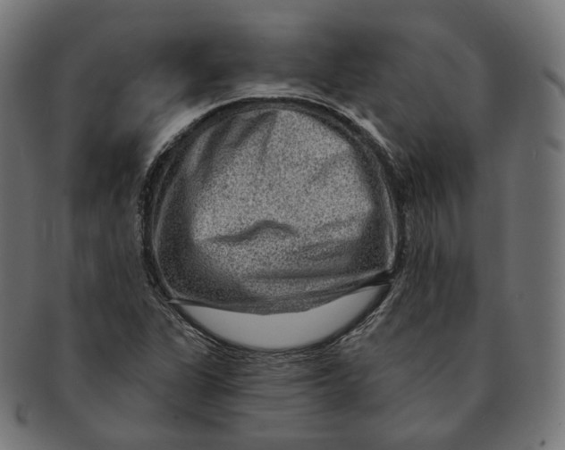 X0000091721311200709210953