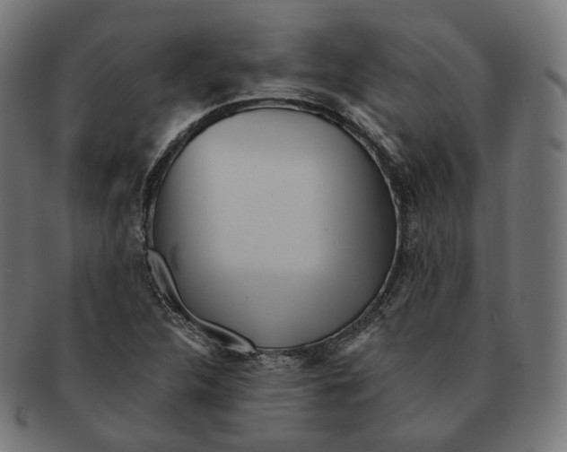 X0000091721312200709210953