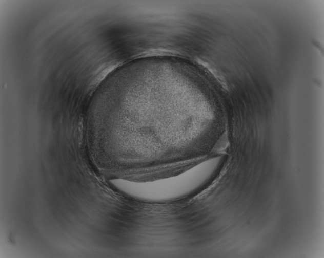 X0000091721313200709210953