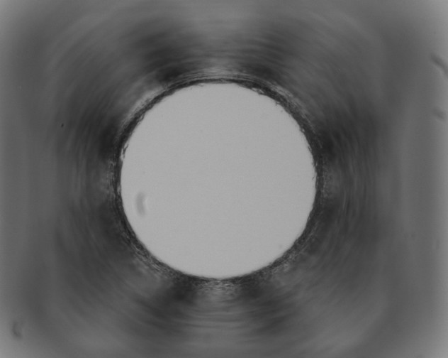 X0000091721314200709210953