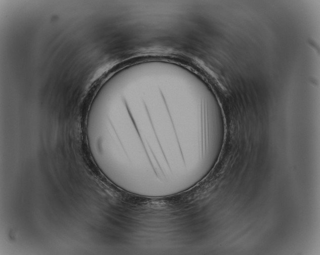 X0000091721315200709210953