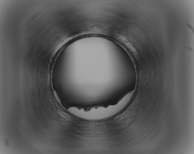 X0000091721316200709210953