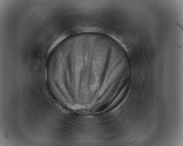 X0000091721317200709210953